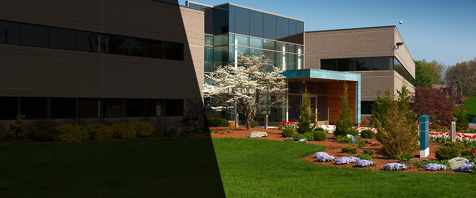 South Carolina Landscapers