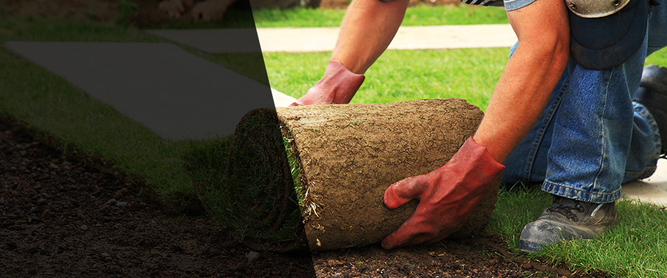 South Carolina Landscapers